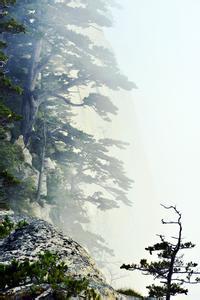 头七鬼魂一般几点回来